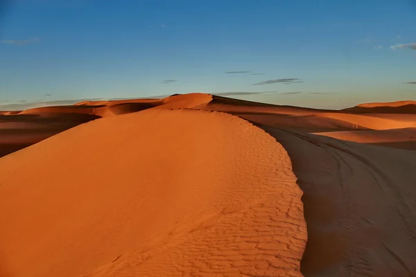 Sahara çölünde kum tepeleri