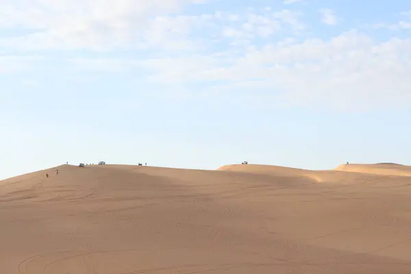 Palmiye, hurma ağacı, Afrika