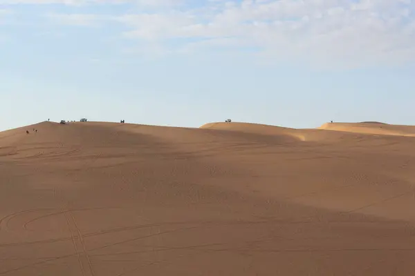 Palmiye, hurma ağacı, Afrika