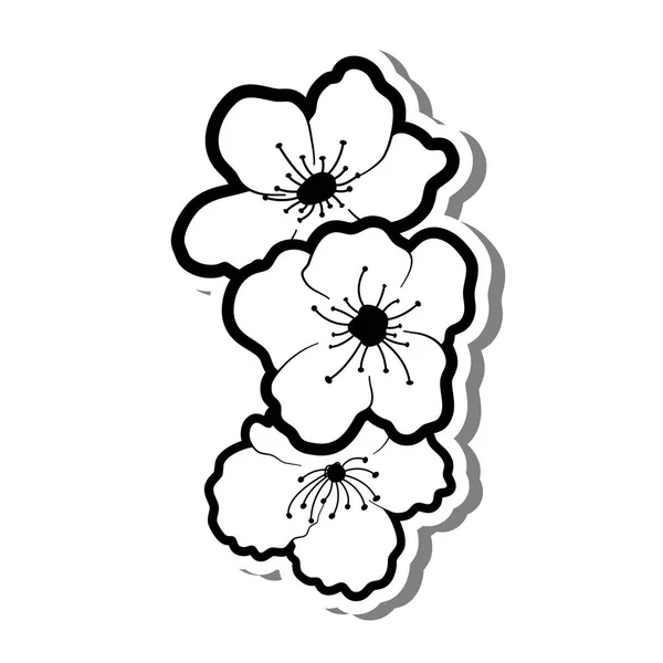 Doodle Flor Cereja Linha Preta Flor Sakura Fundo Branco Ilustração —  Vetores de Stock
