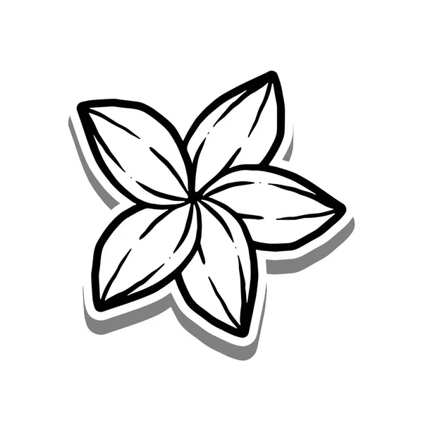Μαύρη Γραμμή Λουλούδι Bloom Λευκή Σιλουέτα Και Γκρι Σκιά Χειροποίητο — Διανυσματικό Αρχείο