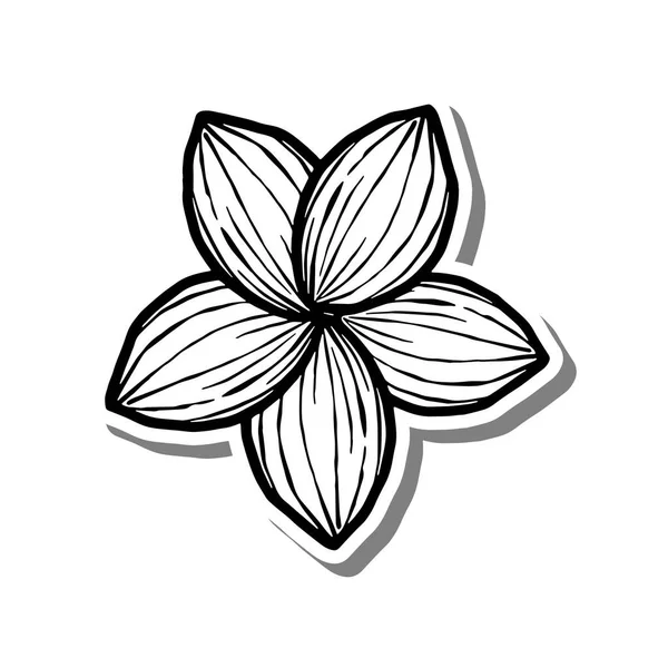 Flor Línea Negra Flor Sobre Silueta Blanca Sombra Gris Dibujado — Archivo Imágenes Vectoriales