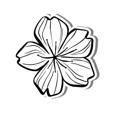 Beyaz siluet ve gri gölgede siyah çizgi Kiraz Çiçeği. El çizimi çizgi film tarzı. Dekorasyon, renk ve herhangi bir tasarım için vektör illüstrasyonuName.