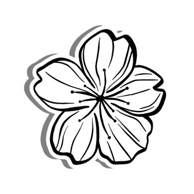 Beyaz siluet ve gri gölgede siyah çizgi Sakura. El çizimi çizgi film tarzı. Dekorasyon, renk ve herhangi bir tasarım için vektör illüstrasyonuName.