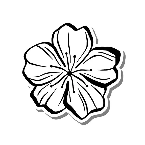 Beyaz siluet ve gri gölgede siyah çizgi Sakura Çiçeği. El çizimi çizgi film tarzı. Dekorasyon, renk ve herhangi bir tasarım için vektör illüstrasyonuName.