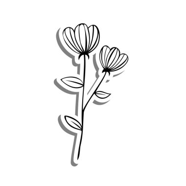 Beyaz siluet ve gri gölge üzerine iki çiçek taslağı. El çizimi çizgi film tarzı. Dekorasyon, renk ve herhangi bir tasarım için vektör illüstrasyonuName.