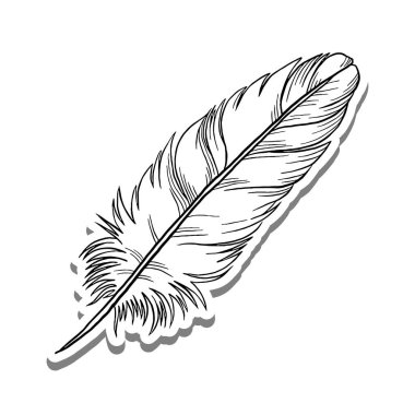 Güzel Tüy Ana Hattı beyaz siluet ve gri gölge üzerine. El çizimi çizgi film tarzı. Dekorasyon ve herhangi bir tasarım için vektör illüstrasyonu.