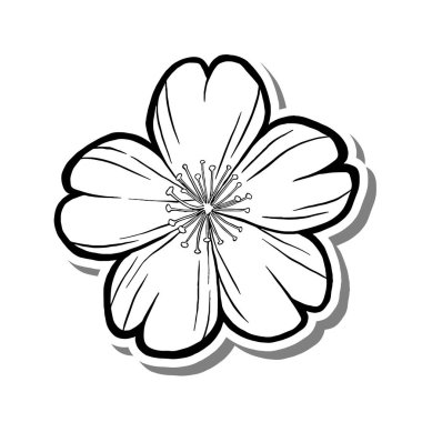 Beyaz siluet ve gri gölgede çiçek açan tek Sakura Çiçeği Tasviri. El çizimi çizgi film tarzı. Dekorasyon, renk ve herhangi bir tasarım için vektör illüstrasyonuName.