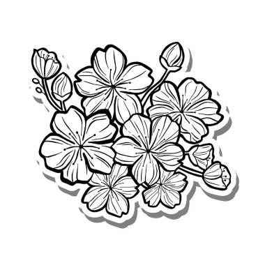 Beyaz siluet ve gri gölge üzerine Sakura Buket Taslak. El çizimi çizgi film tarzı. Dekorasyon, renk ve herhangi bir tasarım için illüstrasyon.