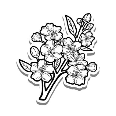 Güzel Sakura Şubesi. Beyaz siluet ve gri gölgenin ana hatları. El çizimi çizgi film tarzı. Dekorasyon, renk ve herhangi bir tasarım için illüstrasyon.