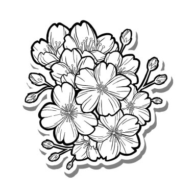 Güzel Sakura Buketi Beyaz siluet ve gri gölgede. El çizimi çizgi film tarzı. Dekorasyon, renk ve herhangi bir tasarım için illüstrasyon.