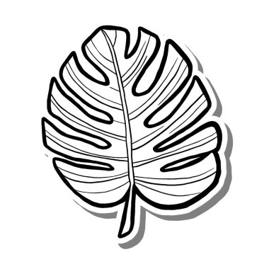 Beyaz siluette ve gri gölgede Monstera Leaf. El çizimi çizgi film tarzı. Dekor ve herhangi bir tasarım için illüstrasyon.