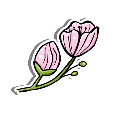 Beyaz siluet ve gri gölgede Pembe Bebek ve Bud Sakura. El çizimi çizgi film tarzı. Dekorasyon ve herhangi bir tasarım için vektör illüstrasyonu.