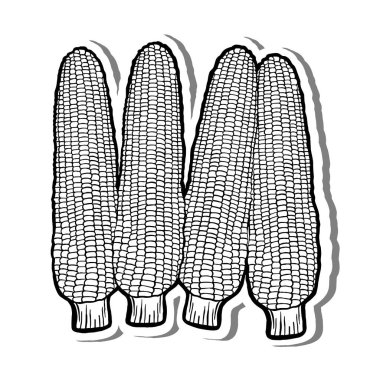 Beyaz Siluet ve Gri Gölge 'nin dört ince mısırlı taslağı. Meyve Hakkında Vektör İllüstrasyonu.