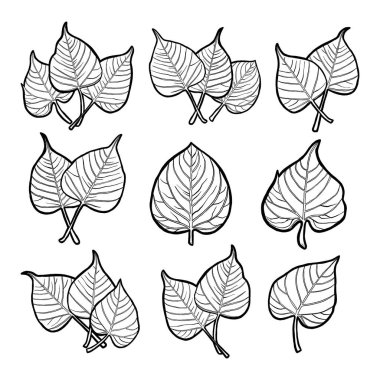 Güzel Yaprak Koleksiyonu. Doğa Hakkında Vektör İllüstrasyonu.