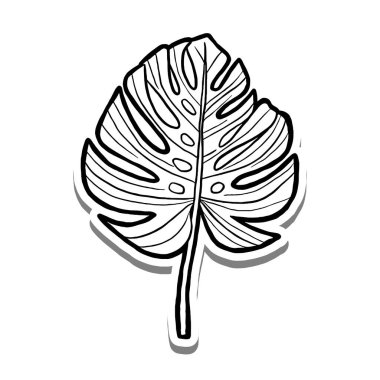 Beyaz siluette ve gri gölgede Monstera Leaf. El çizimi çizgi film tarzı. Dekor ve herhangi bir tasarım için illüstrasyon.