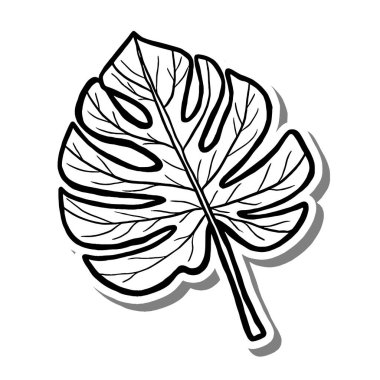 Beyaz siluette ve gri gölgede Monstera Leaf. El çizimi çizgi film tarzı. Dekor ve herhangi bir tasarım için illüstrasyon.