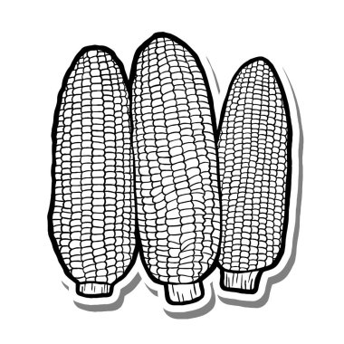 Beyaz Siluet ve Gri Gölge 'ye El Çizimi Üç Mısır Ana Hattı. Meyve Hakkında Vektör İllüstrasyonu.