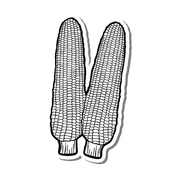 Beyaz Siluet ve Gri Gölge 'nin El Çekimi Tombul İki İnce Mısır Özeti. Meyve Hakkında Vektör İllüstrasyonu.