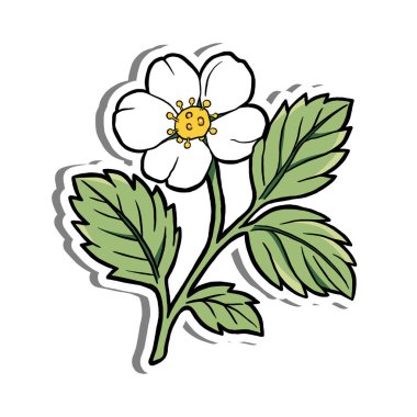 Beyaz Siluet ve Gri Gölge 'de Yaprakları Olan El Çizimi Şirin Çiçek. Doğa Hakkında Vektör İllüstrasyonu.