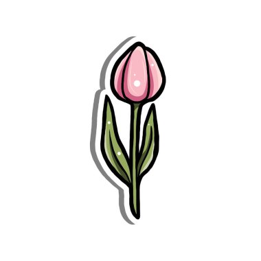 Basit bir çizgi film tarzında uzun yeşil bir sapı olan şirin pembe lale çizimi, kalın hatlar ve beyaz arka planda izole edilmiş beyaz renkler, çıkartmalar veya çiçek desenleri için mükemmel..
