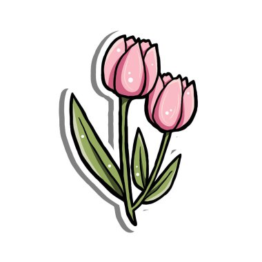 Basit bir çizgi film tarzında yeşil yaprakları olan iki pembe lalenin, beyaz arka planda izole edilmiş koyu renk çizgileri ve çiçek desenleri ve çıkartmaları için mükemmel beyaz renkler..