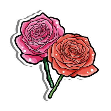 Beyaz siluet ve gri gölgede açan iki pembe ve kırmızı gül. El çizimi çizgi film tarzı. Dekor ve herhangi bir tasarım için illüstrasyon.