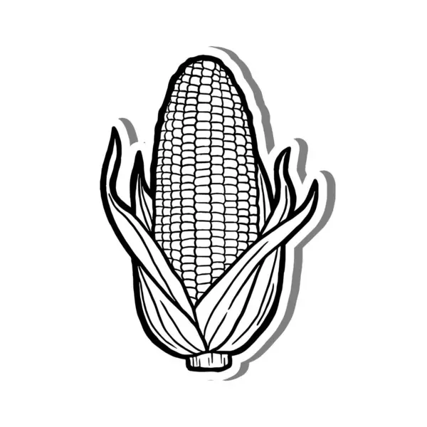 Beyaz Siluet ve Gri Gölge 'de Yaprak Elementi Ana hatlarıyla El Çekimi Tombul Mısır. Meyve Hakkında Vektör İllüstrasyonu.
