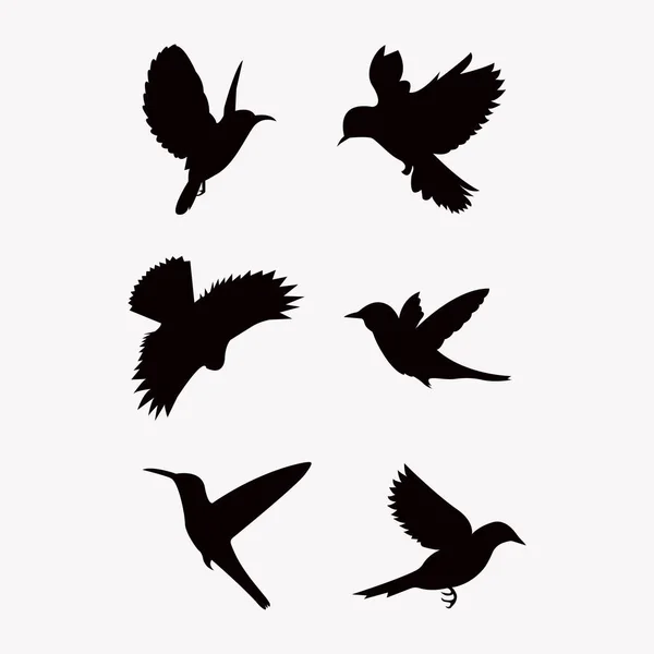 Schwarze Silhouette Von Vögeln Großes Set — Stockvektor