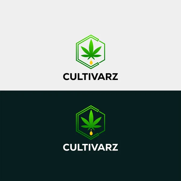 Cannabis Folha Logotipo Design Cannabis Gota Água Logotipo Design Cannabis —  Vetores de Stock
