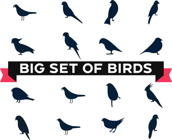 Silhouette Uccelli Nuovi Disegni Icone Uccelli — Vettoriale Stock