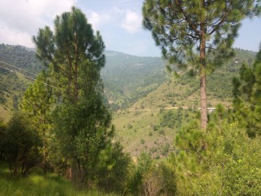 One of the collections of mountains,nature and landscape photography by metaversigns.com