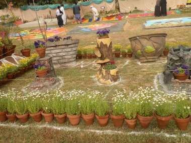 4k çözünürlükte çiçek sergisi resmi