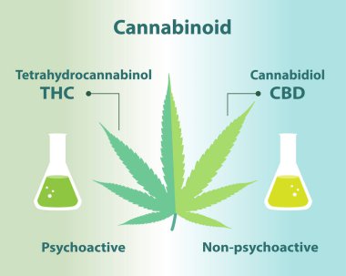 The differences between cannabinoid in cannabis vector on blue green background. Tetrahydrocannabinol (THC) is psychoactive and intoxicating, Cannabidiol (CBD) is for its medicinal benefits.