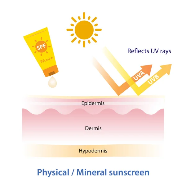 Physical Mineral Sunscreen Reflects Rays Vector White Background How Physical — Stok Vektör