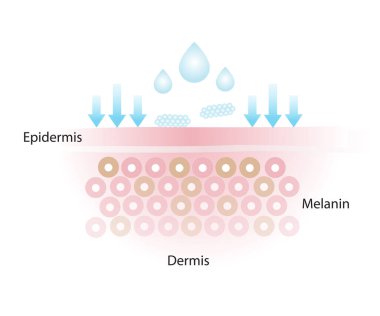 The skincare product doesn't get absorbed, that doesnt properly penetrate into the skin layer vector on white background.
