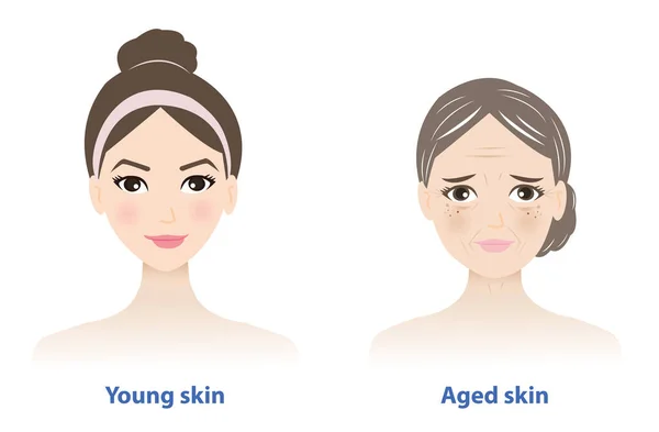 Rozdíly Mezi Mladou Starou Kůží Mladistvá Zdravá Pokožka Vypadá Hladce — Stockový vektor