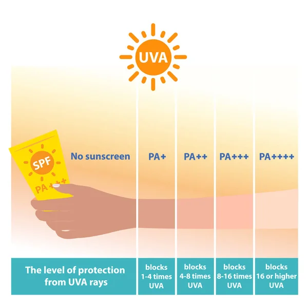 Los Diferentes Niveles Grado Protección Del Vector Protección Solar Uva — Vector de stock