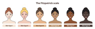 Fitzpatrick skin tone phototype with cute cartoon character vector isolated on white background. Diagram of ethnicity skin tone scale phototype melanin and hair color melanin. The Fitzpatrick scale illustration. clipart