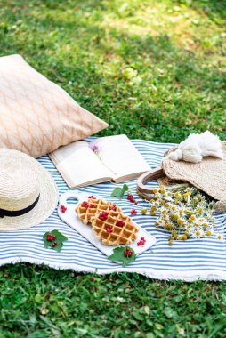 Picnic on the grass. Rest time, summer concept