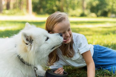 Orman Parkı 'nda Küçük Kız Köpeğiyle Oynuyor Beyaz Samoyed Yaz Saati