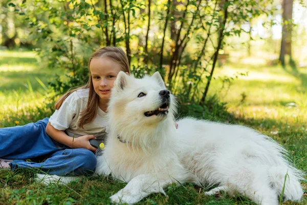 Маленькая Девочка Лесном Парке Гуляя Собакой Белое Самоед Летнее Время — стоковое фото