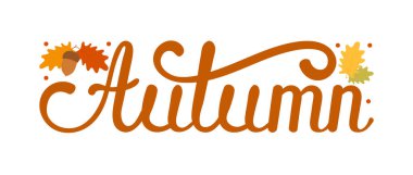 Vektör çizimi. Sonbahar harfleri beyaz arka planda izole edilmiş. El çizimi harf metni. Sonbahar bayrağı, Card, davetiye. Sonbahar yaprağı renginde dekoratif elementler