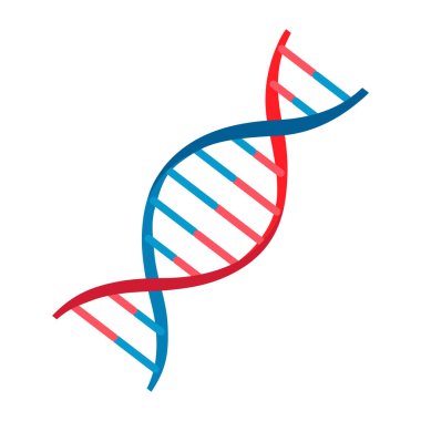 Vektör çizimi. Beyaz arkaplanda izole edilmiş DNA molekül simgesi