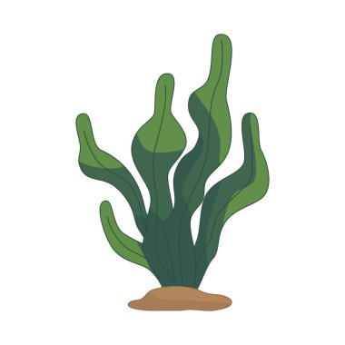 Beyaz arkaplanda yosun simgesi izole edildi. Vektör illüstrasyonu.