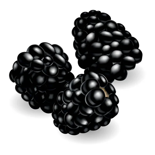 Fresh Sweet Tasty Blackberry Sweet Fruit Forest Berry Vector Icon — 图库矢量图片