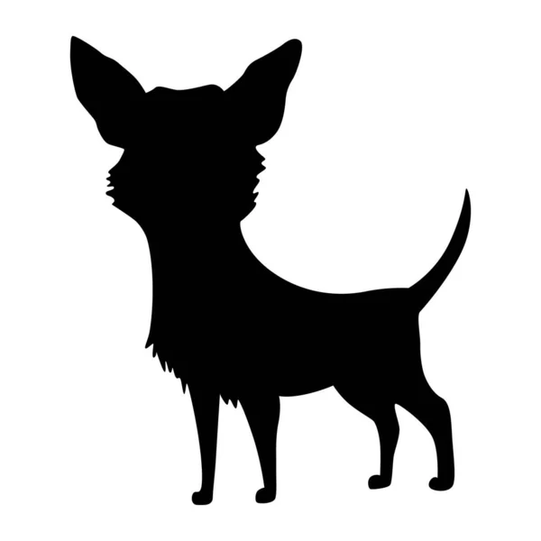 Köpek Silueti Chihuahua Cinsi Siyah Renkli Evcil Hayvan Standı Simgesi — Stok Vektör