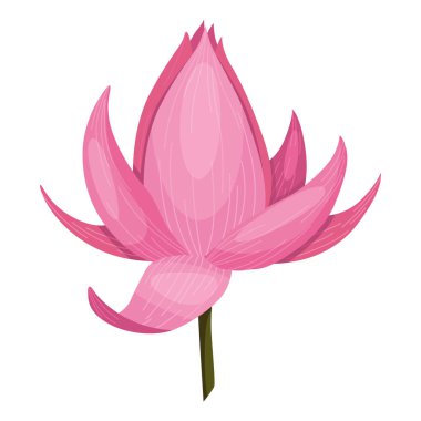 Lotus. Pink flower. Stem and leaves for advertising or invitation. Blossom, bud opening, an aquatic plant. 3D design. Isolated objects for design.