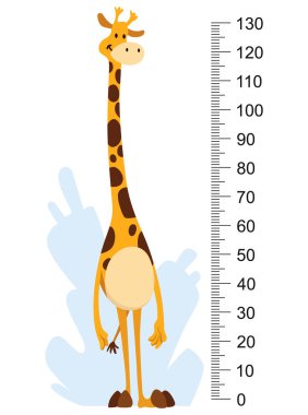 Büyüme cetvel grafiğiyle boy ölçüsü, sevimli zürafa hayvanlarıyla birlikte. Komik çocuklar ölçer, büyümeyi ölçmek için duvar ölçeği 0 ile 130 santimetre arası. Çocuk odası duvar etiketi iç dekorasyon olarak kullanılıyor.