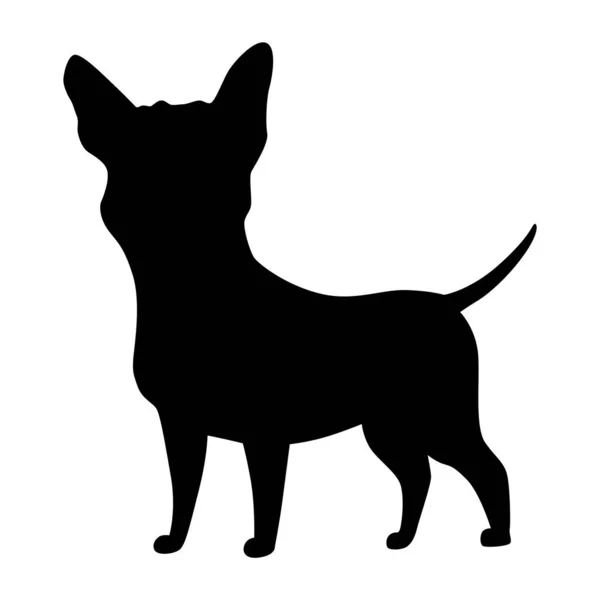 Sílhueta Cão Raça Chihuahua Vista Lateral Pet Stand Ícone Cor —  Vetores de Stock